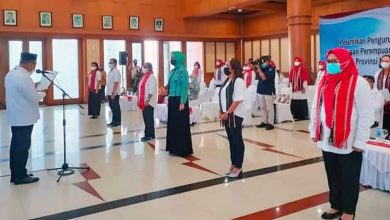 WhatsApp Image 2021 02 25 at 21.48.28