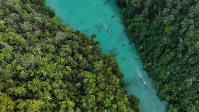 Screen Shot 2021 04 10 at 15.43.14 copy