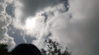 Screen Shot 2021 04 28 at 11.18.18