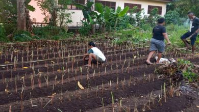 WhatsApp Image 2021 04 15 at 07.21.47