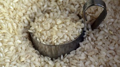 rice 3622461 1280