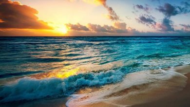 beach 2836300 1280