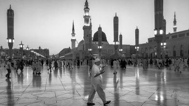 adli wahid uYa8 teAxRo unsplash