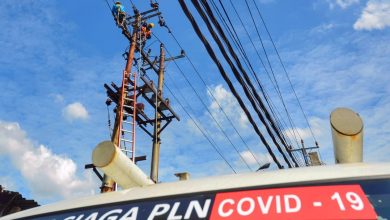 WhatsApp Image 2021 07 02 at 22.19.16 1