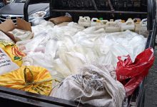 215 Liter Miras Disita dari Atas KM Cantika 77B di Ambon 24 Sopi
