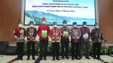hutan sosial