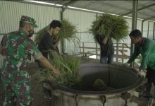serai merah