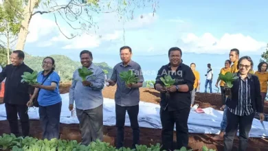 pemberdyaan ekonomi sinode gpm