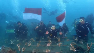 ekosistem laut maluku