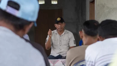 ezgif.com gif maker 50