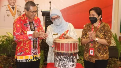 Sosialisasi Dokumen RUED