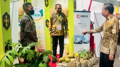 Sukun Mutiara