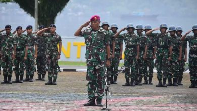 31 Prajurit Baja dan Taja