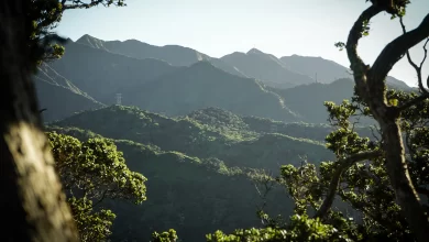 ezgif.com gif maker 2022 09 06T163133.390