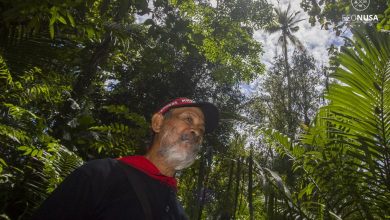 lowres Eliza Marten Kissya Kepala Kewang Adat Haruku Kecamatan Haruku Kabupaten Maluku Tengah yang kesehariannya menjaga hutan dan laut di tanah kelahirannya. 780x470 1