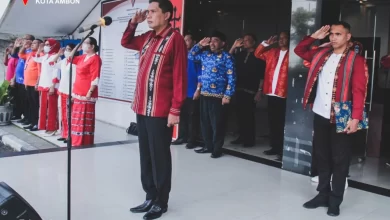 Berpakaian Baju Cele
