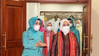 Ketua Umum TP PKK