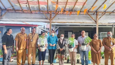 kalesang kintal kosong