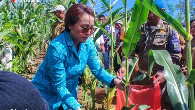 Desa Poka Ambon