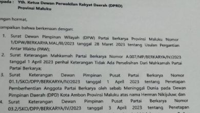 Ayu Hindun Hasanusi