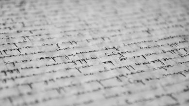 pexels pixabay 261763