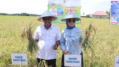 WhatsApp Image 2023 05 06 at 18.57.37