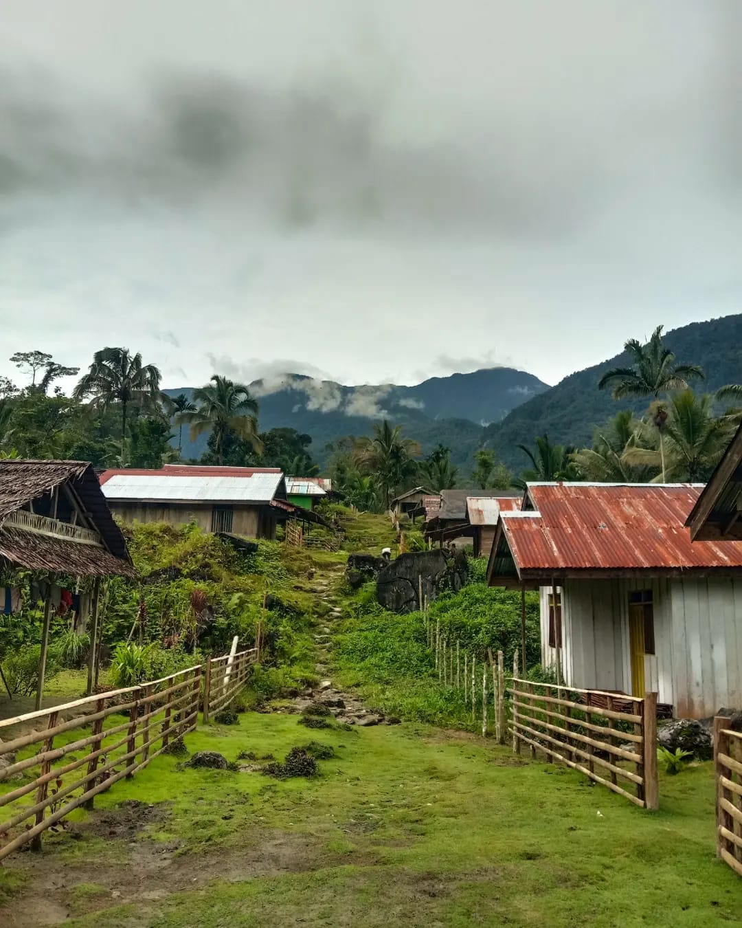 aa8a3fa7 284e 46ef 954c da968a1405bd