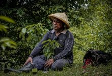 AV Petani dari Dream Leand Hill's 24 Foto Abdullah Vanath