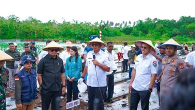Bupati dan Wakil Bupati