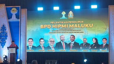 hipmi