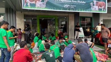 Pegadaian Area Maluku Rayakan Idul Adha Dengan Sembelih 4 Ekor Sapi untuk Masyarakat Duafa 7 IMG 20260529 152253